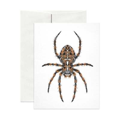 Open Sea Design Co. - Greeting Card - Diadem Spider