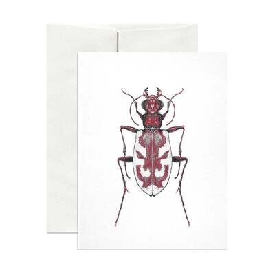Open Sea Design Co. - Greeting Card - Blowout Tiger Beetle