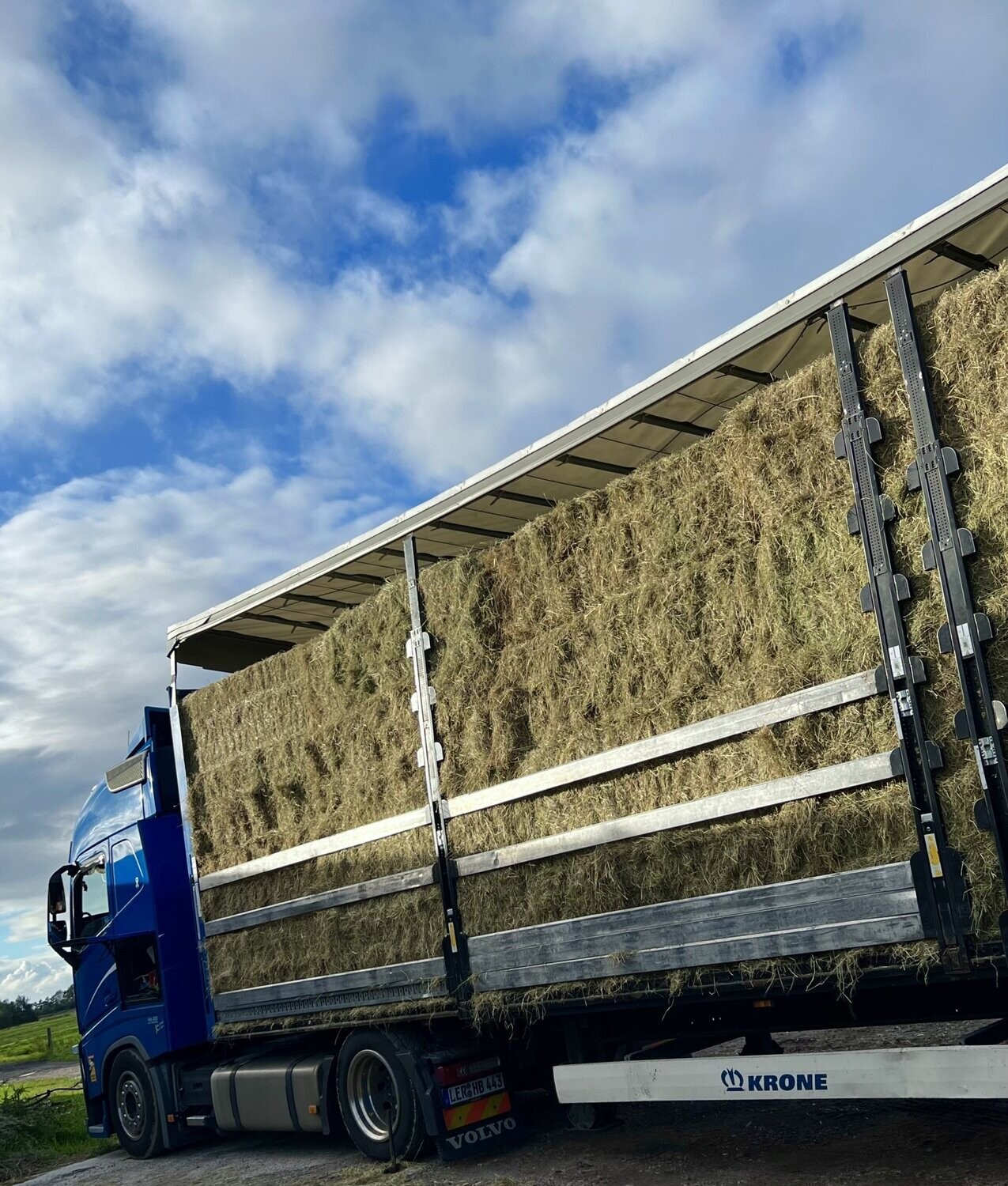 1 LKW Premium-Pferdeheu - Quaderballen vom 1.Schnitt