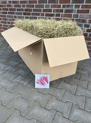 (Probe) Paket Premium-Pferdeheu