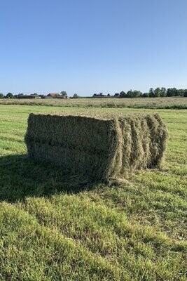 Selbstabholer in 26831 Bunde / Dollart