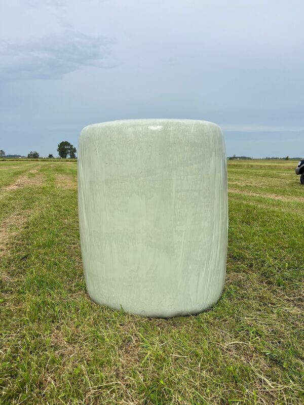 Heulage Rundballen ⌀ 1,20m, 1.Schnitt für Selbstabholer Heulage Rundballen ⌀ 1,20m, 1.Schnitt für Selbstabholer