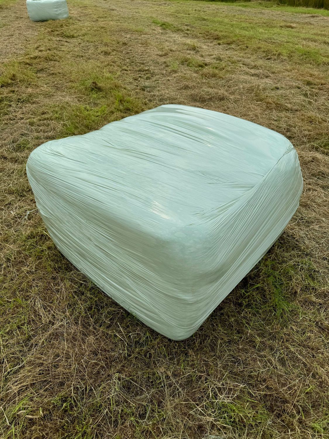 Heulage, kleine Quaderballen 0,70x1,20x1,20m, 1.Schnitt für Selbstabholer