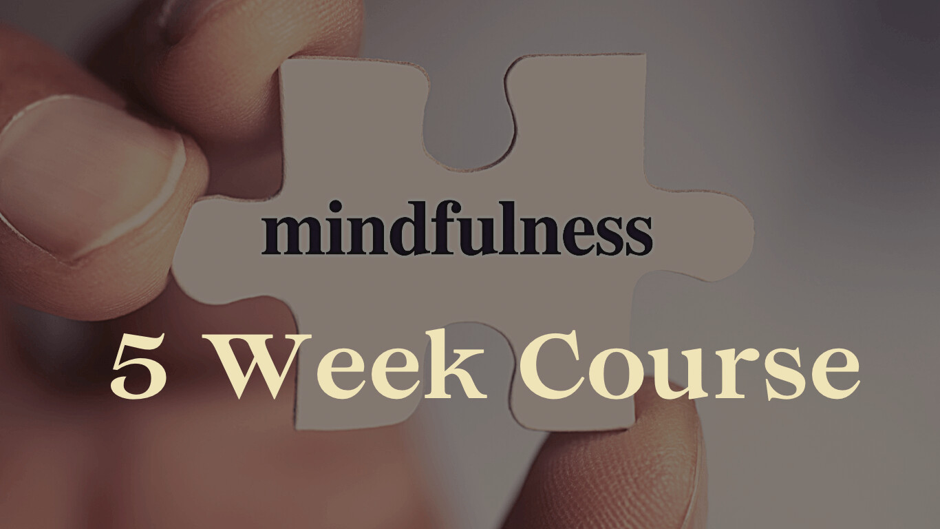 5-Week Mindfulness Course - 3rd November 2022