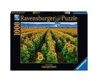 Ravensburger Puzzle 152889 - Campo di Girasoli 1000p.
