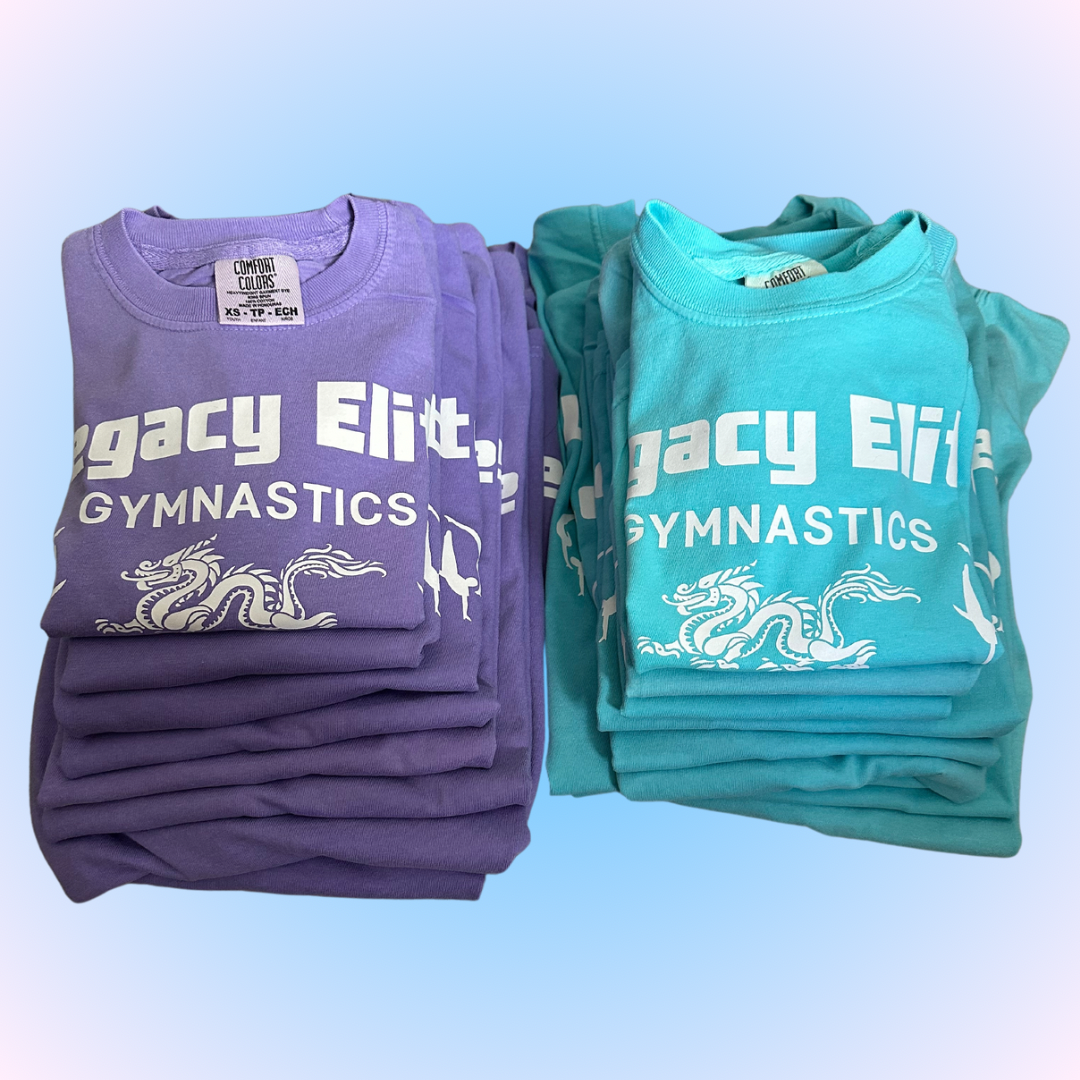 All sizes- Comfort Colors T Shirt