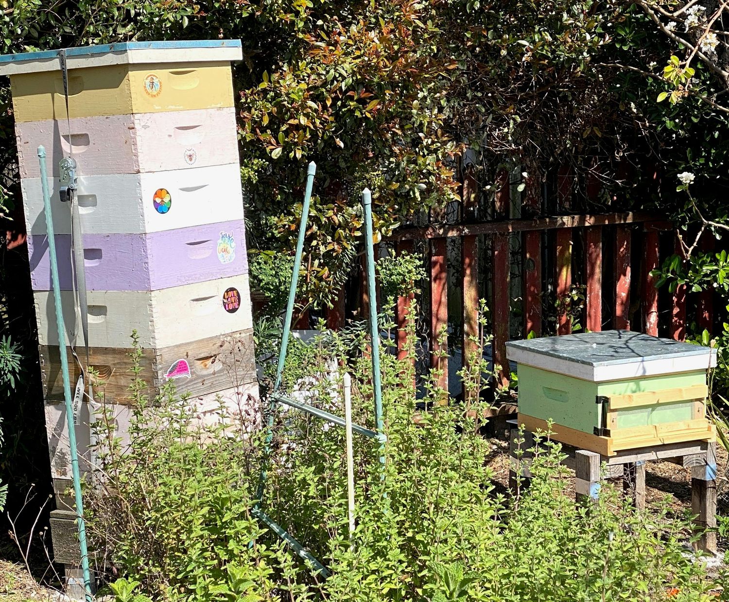 BEE KEEPING 101: AUGUST 16 (10AM-12PM)