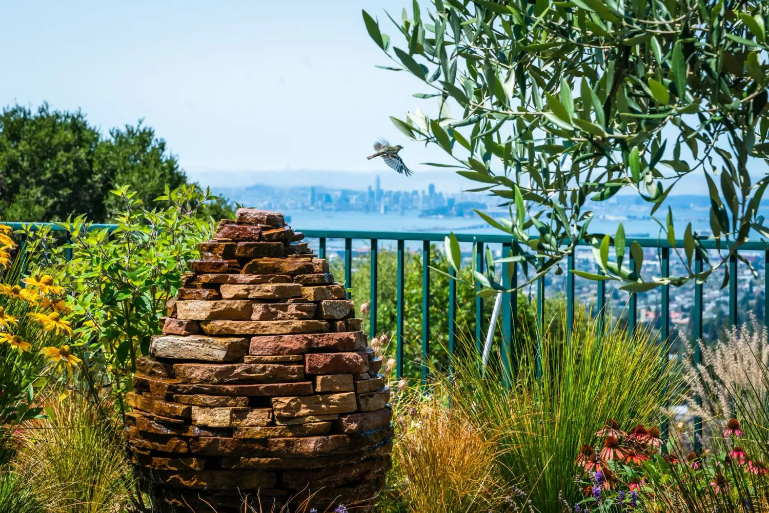 BUILD A SEED FOUNTAIN: AUGUST 23 (1PM-4PM)