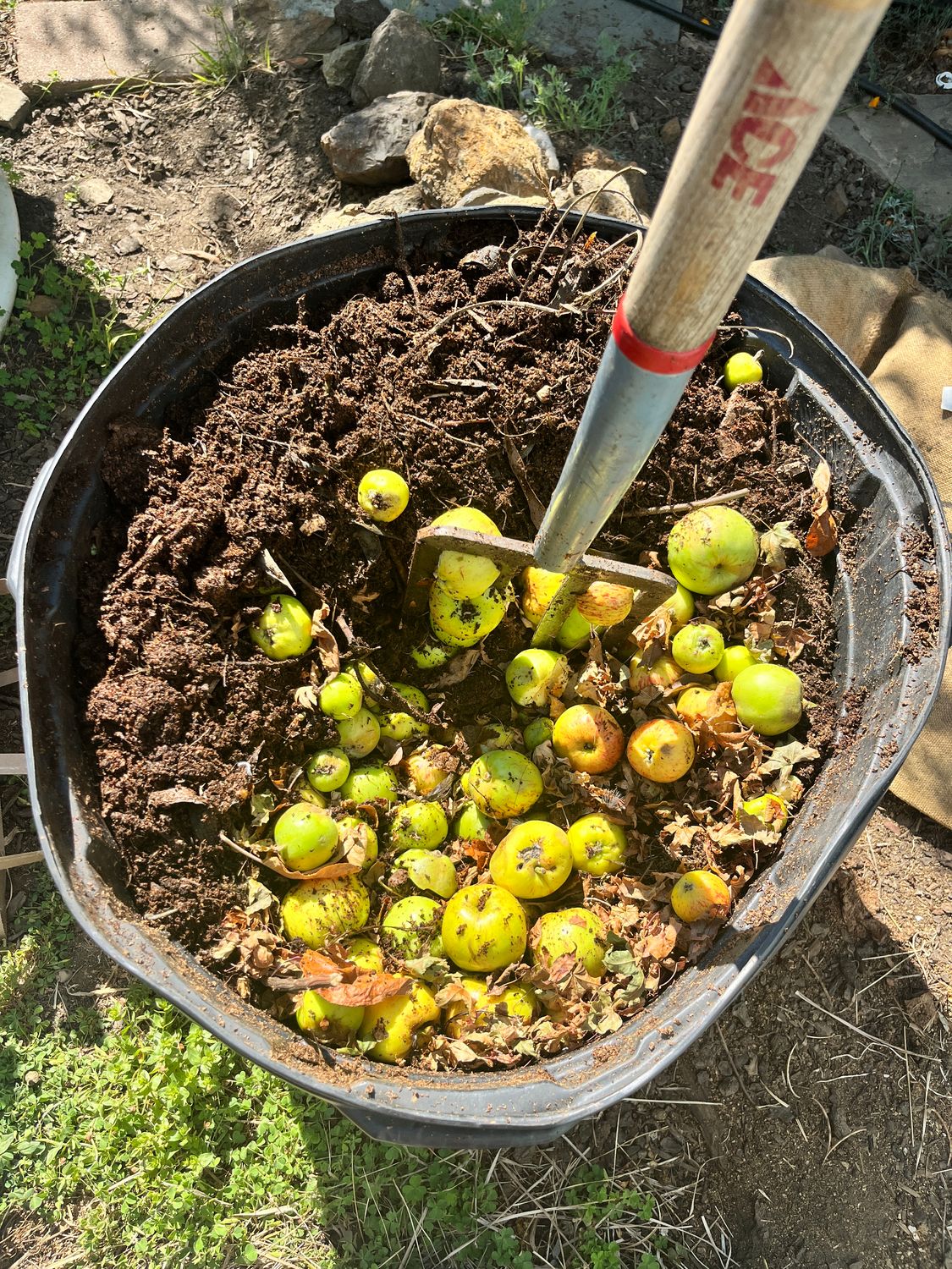 HANDS-ON COMPOST CLASS w/ VELVETEEN RABBIT: SEPTEMBER 13 (11AM-12PM)