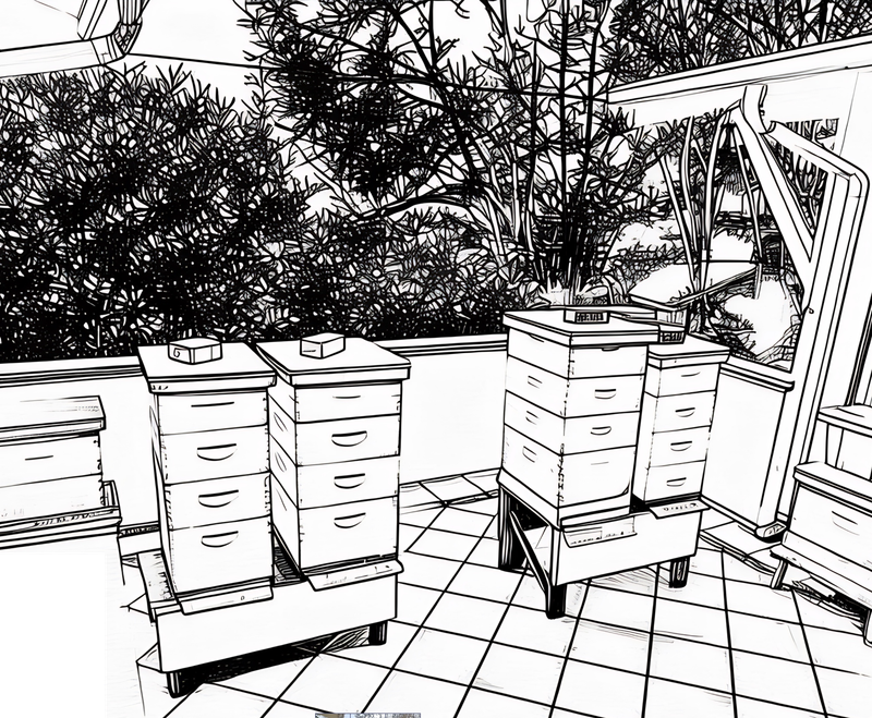 BEE KEEPING 101 at the Oasis: Sunday Dec 14, 11am-12:30pm