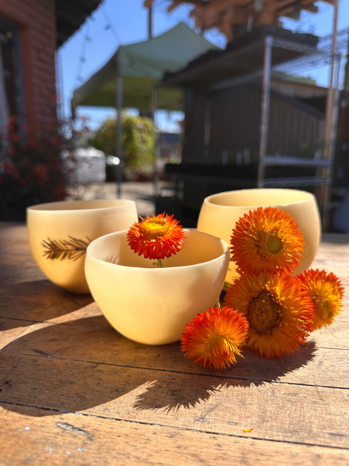 BEESWAX ALCHEMY WITH KATE December 6th, 11AM-12:30PM