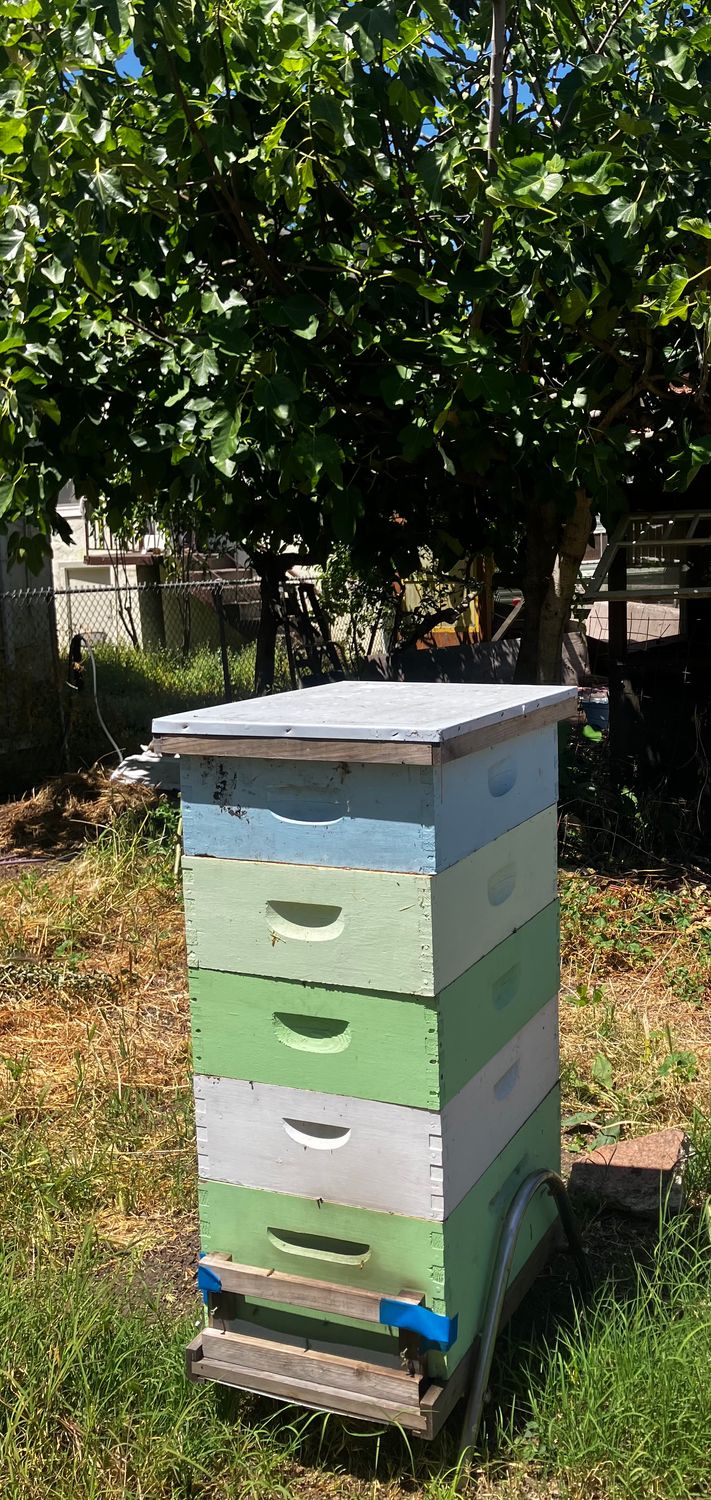 BEE TOUR FEBRUARY 22, 11AM-1PM