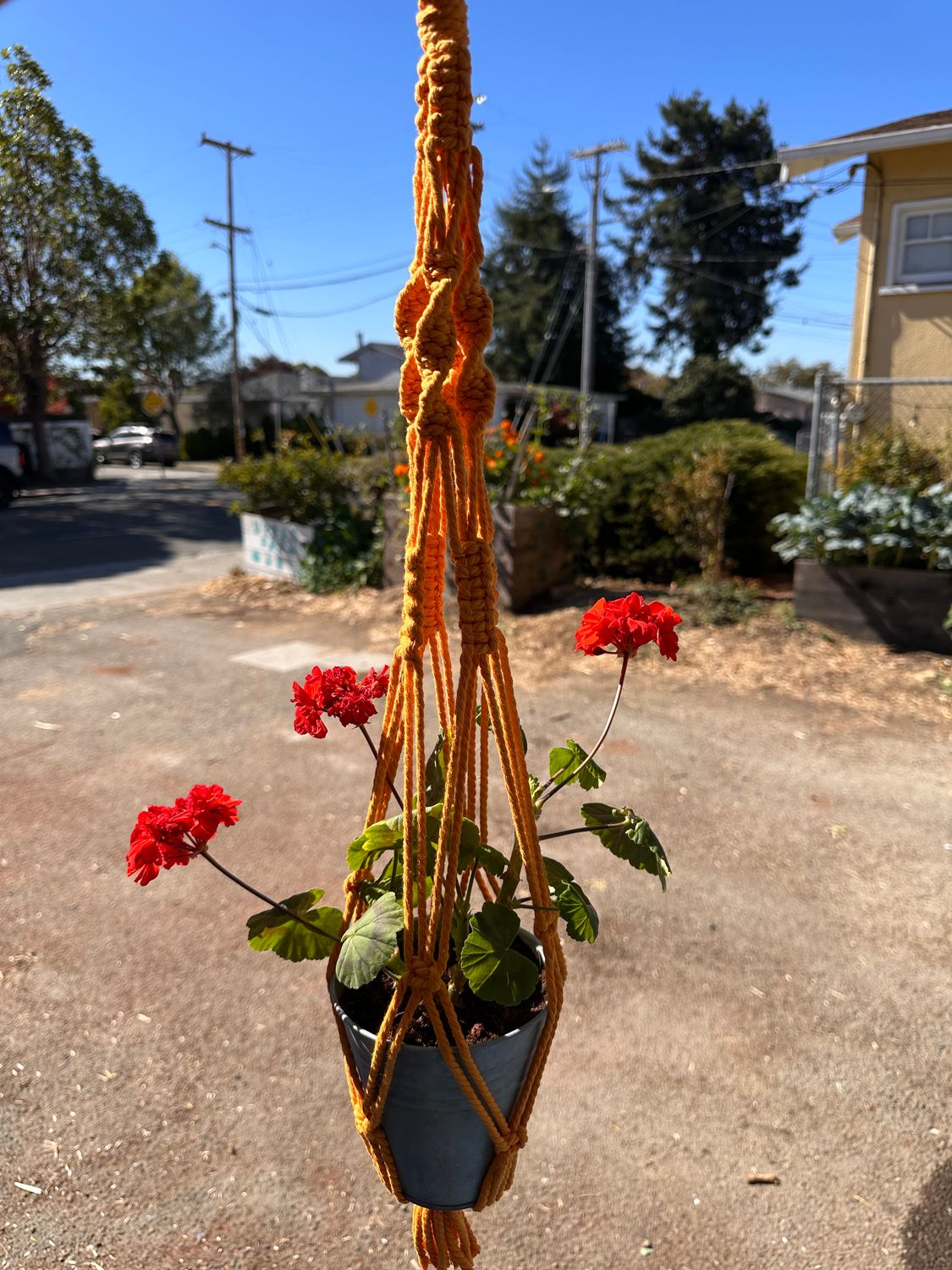 MACRAME WORKSHOP, NOV 14, 11am-12:45pm