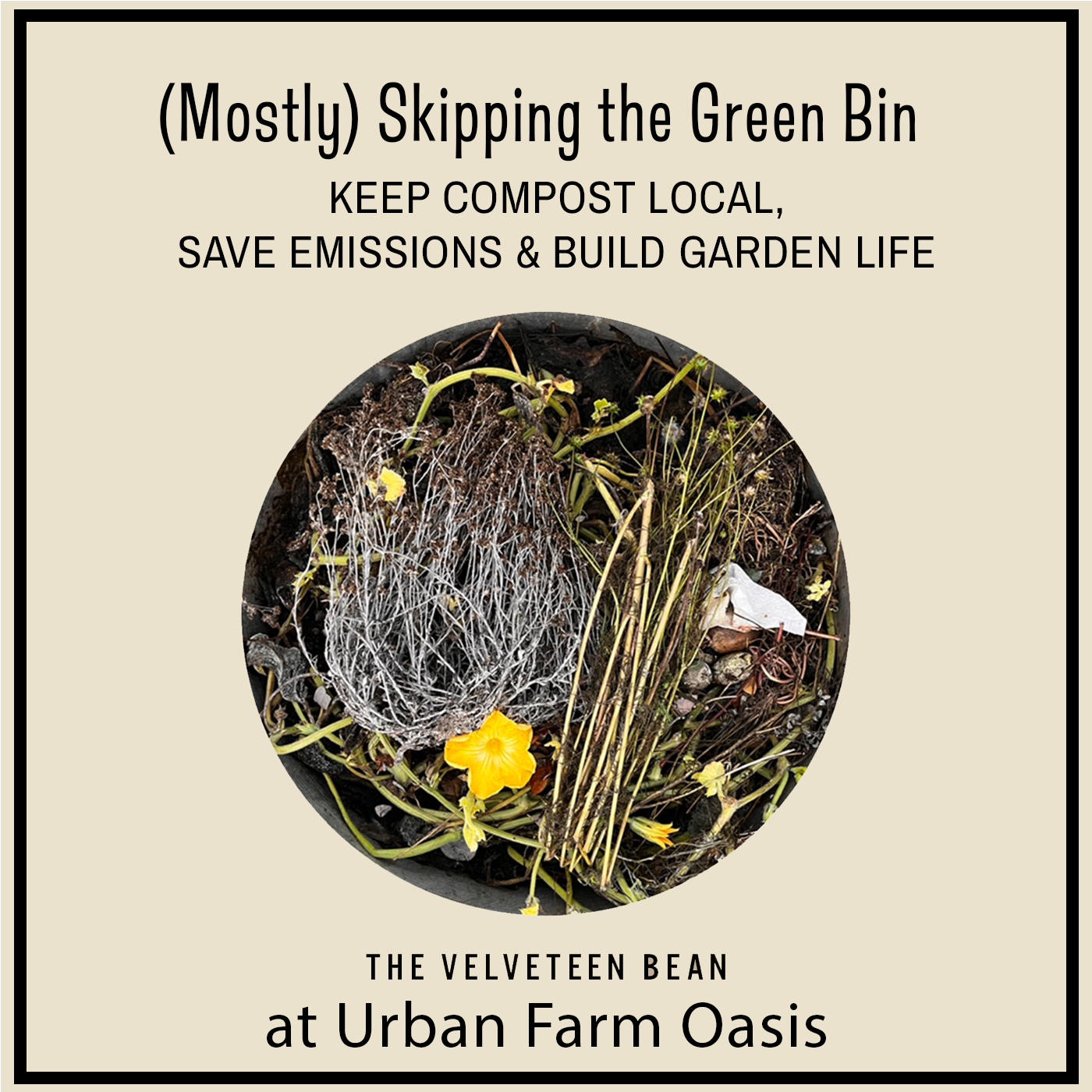 (MOSTLY) SKIPPING THE GREEN BIN, FEB 22 11AM