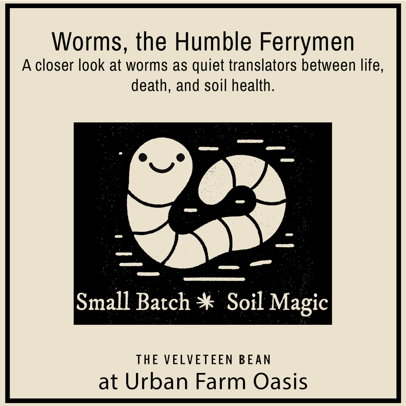 WORMS, THE HUMBLE FERRYMEN FEB 15, 11AM