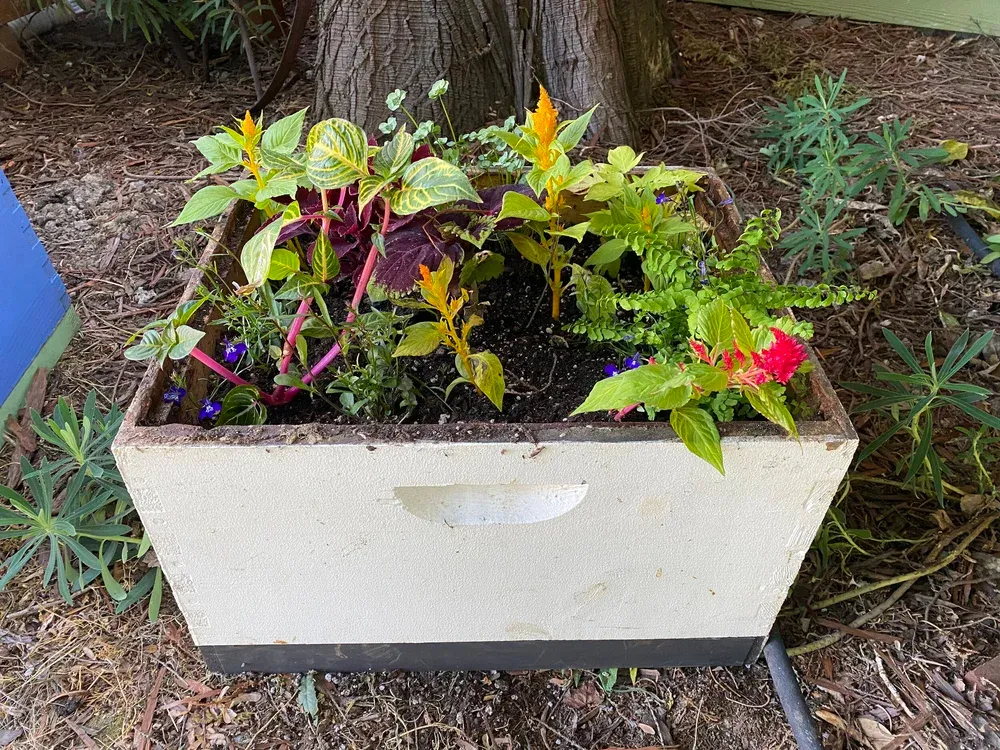 MAKE &amp; TAKE MARCH 8th, 11AM-12:30PM