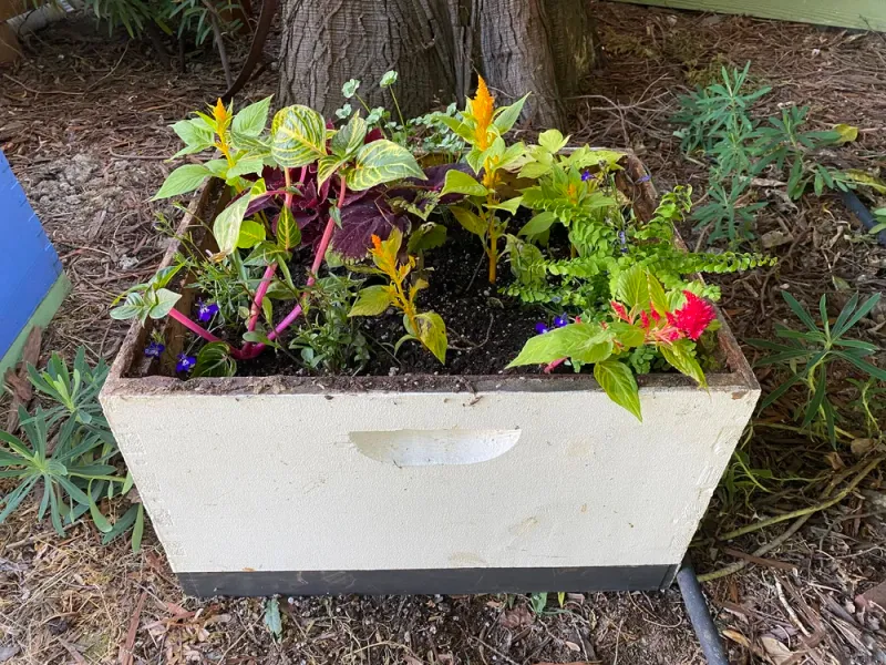 MAKE &amp; TAKE MARCH 8th, 11AM-12:30PM