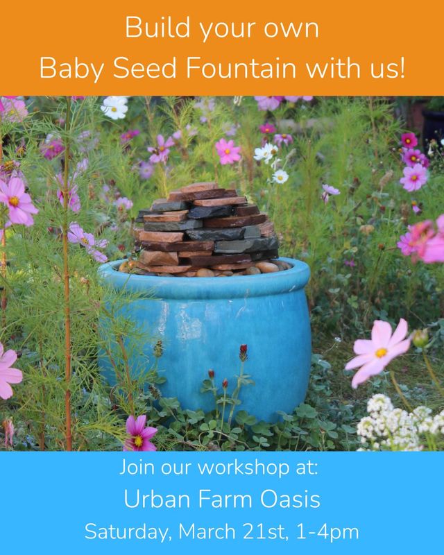 SEED FOUNTAIN MAKING MARCH 21, 1pm-4pm