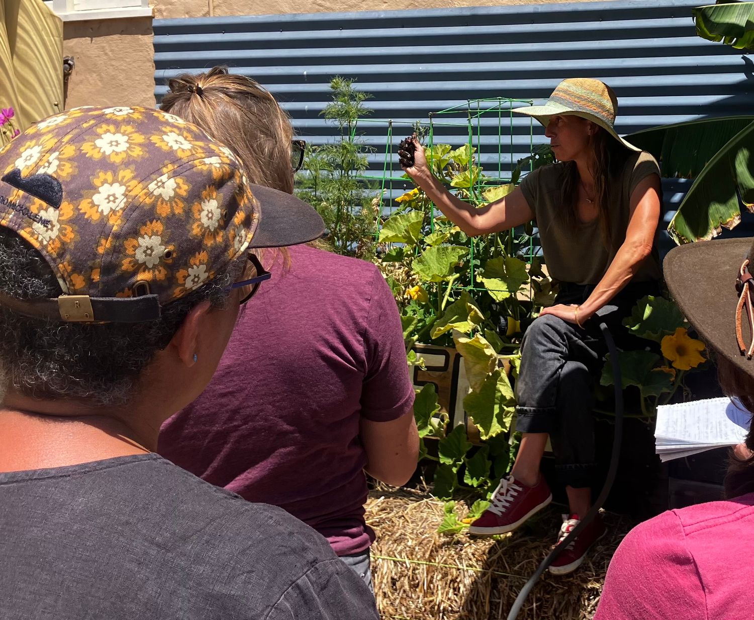 REGENERATIVE FARMING AT HOME