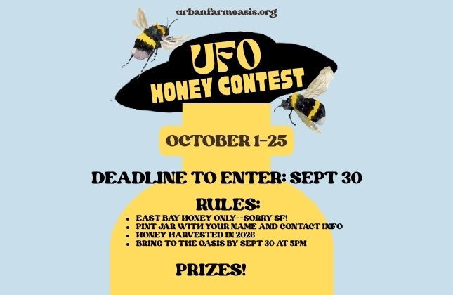 OASIS HONEY CONTEST! ENTER BY SEPT 30