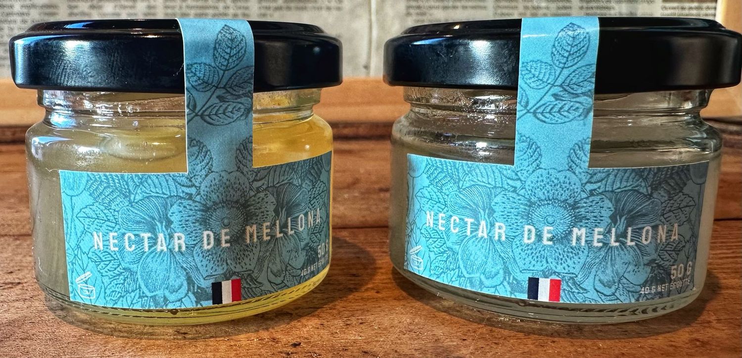 NECTAR DE MELLONA - perles de miel