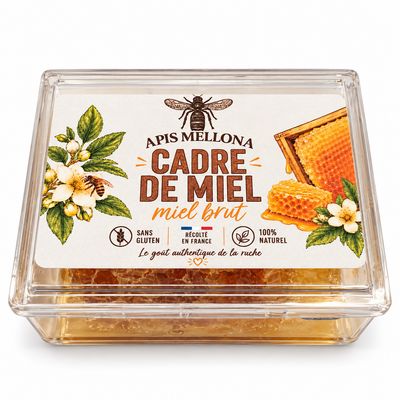 Miel en rayon Miel en rayon