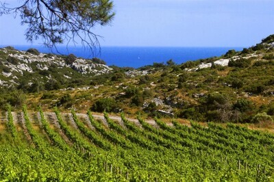 Languedoc-Roussillon