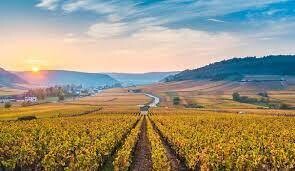Bourgogne