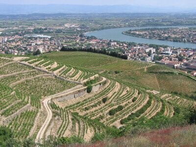 Vallée du Rhône