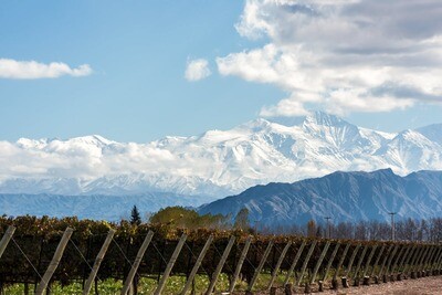 Vins étrangers