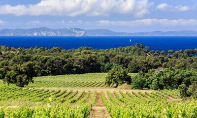 Provence