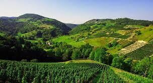 Bugey