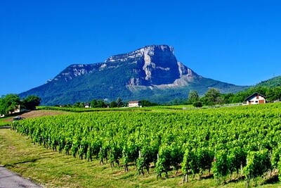 Savoie