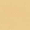 GELCOAT ISO RAL 1001 Beige
