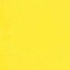 GELCOAT ISO RAL 1018 Giallo zinco