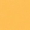 GELCOAT ISO RAL 1034 Giallo pastello