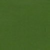 GELCOAT ISO RAL 6002 Verde fragola