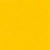 RAL 1004 Giallo oro