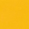 RAL 1003 Giallo segnale