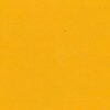 RAL 1006 Giallo polenta