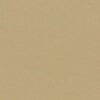 RAL 1019 Beige grigiastro