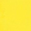 RAL 1018 Giallo zinco