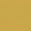 RAL 1024 Giallo ocra