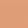 RAL 3012 Rosso beige