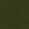 RAL 6007 Verde bottiglia