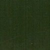 RAL 6012 Verde nerastro