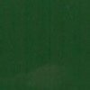 RAL 6005 Verde muschio