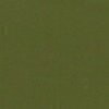 RAL 6003 Verde oliva