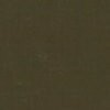 RAL 6006 Oliva grigiastro
