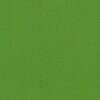 RAL 6017 Verde maggio